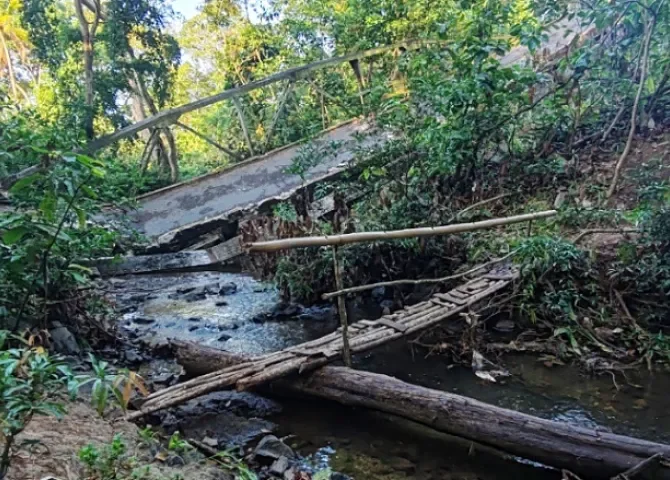   ¡Puente de palo pa resolver! Vecinos de Capira cruzan el río Perequeté tras colapso por camión pesado  