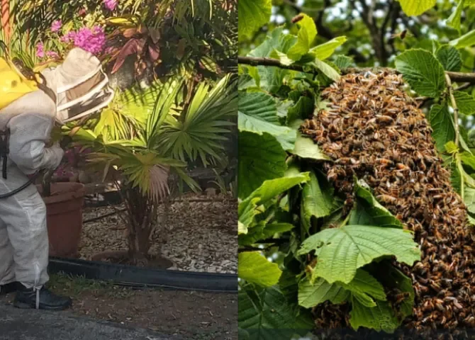  Fotos: Benemérito Cuerpo de Bomberos de la República de Panamá. 