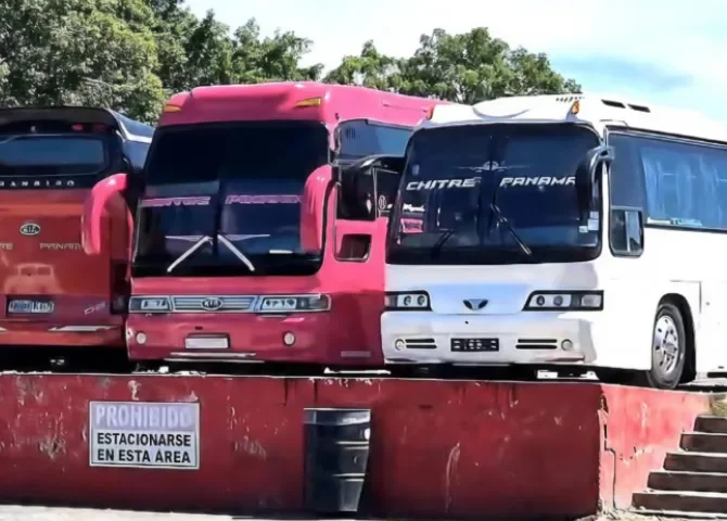  Foto: Thays Domínguez.  