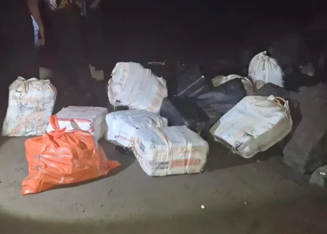  Foto: Thays Domínguez.  