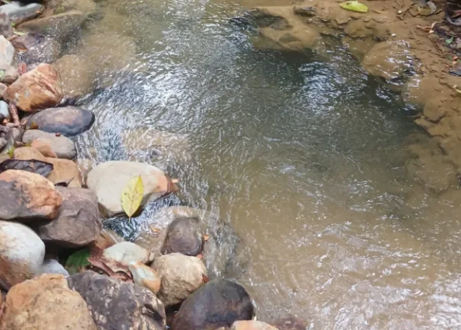  Foto: Eric Montenegro. 