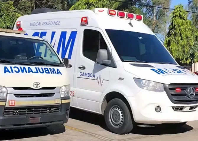  Foto: Thays Domínguez.  