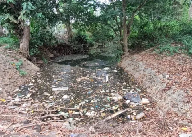  Foto: Eric Montenegro.  