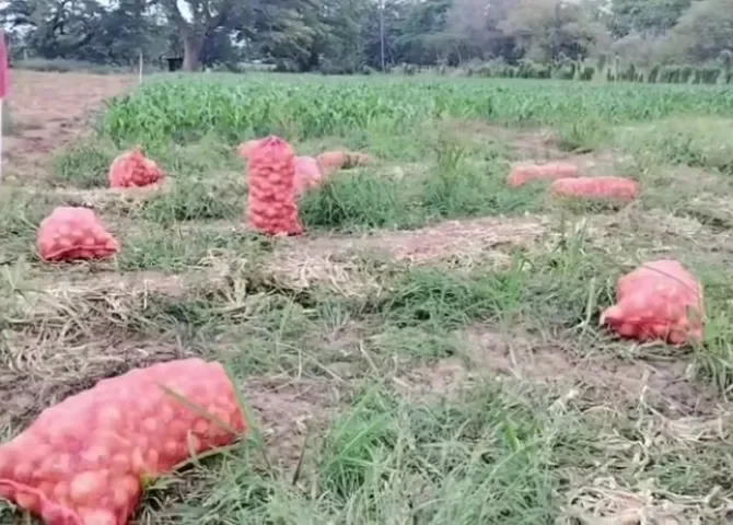  Foto: Eric Montenegro.  