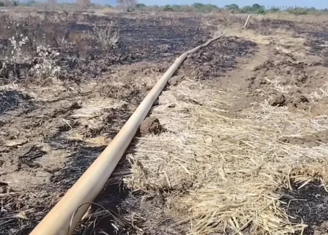  Foto: Eric Montenegro.  