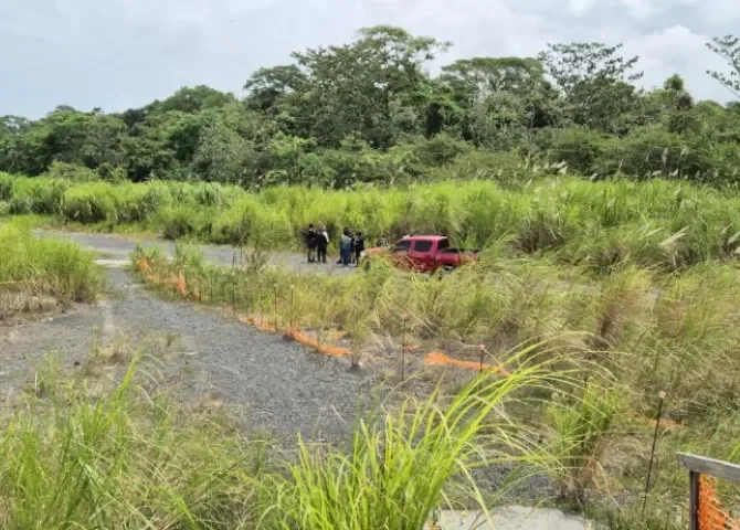  Foto: Diómedes Sánchez. 