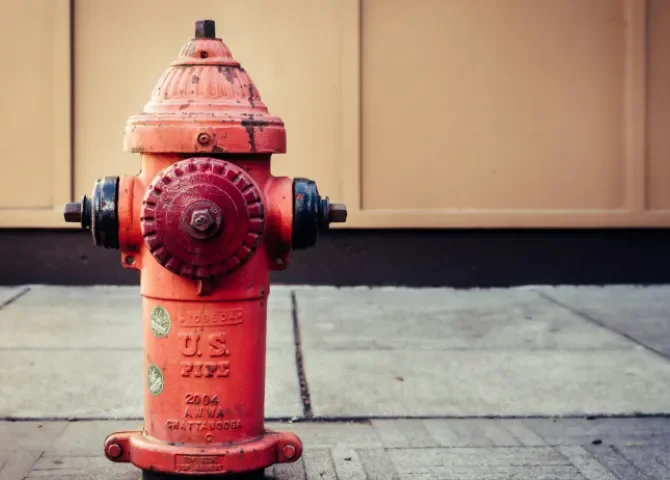   Foto: Brett Sayles/Pexels  