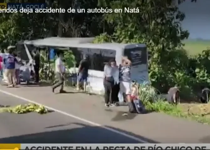  Foto captura. 