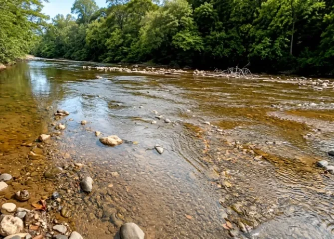   Preocupa la baja del río Chico: vigilan su caudal ante el impacto de El Niño  